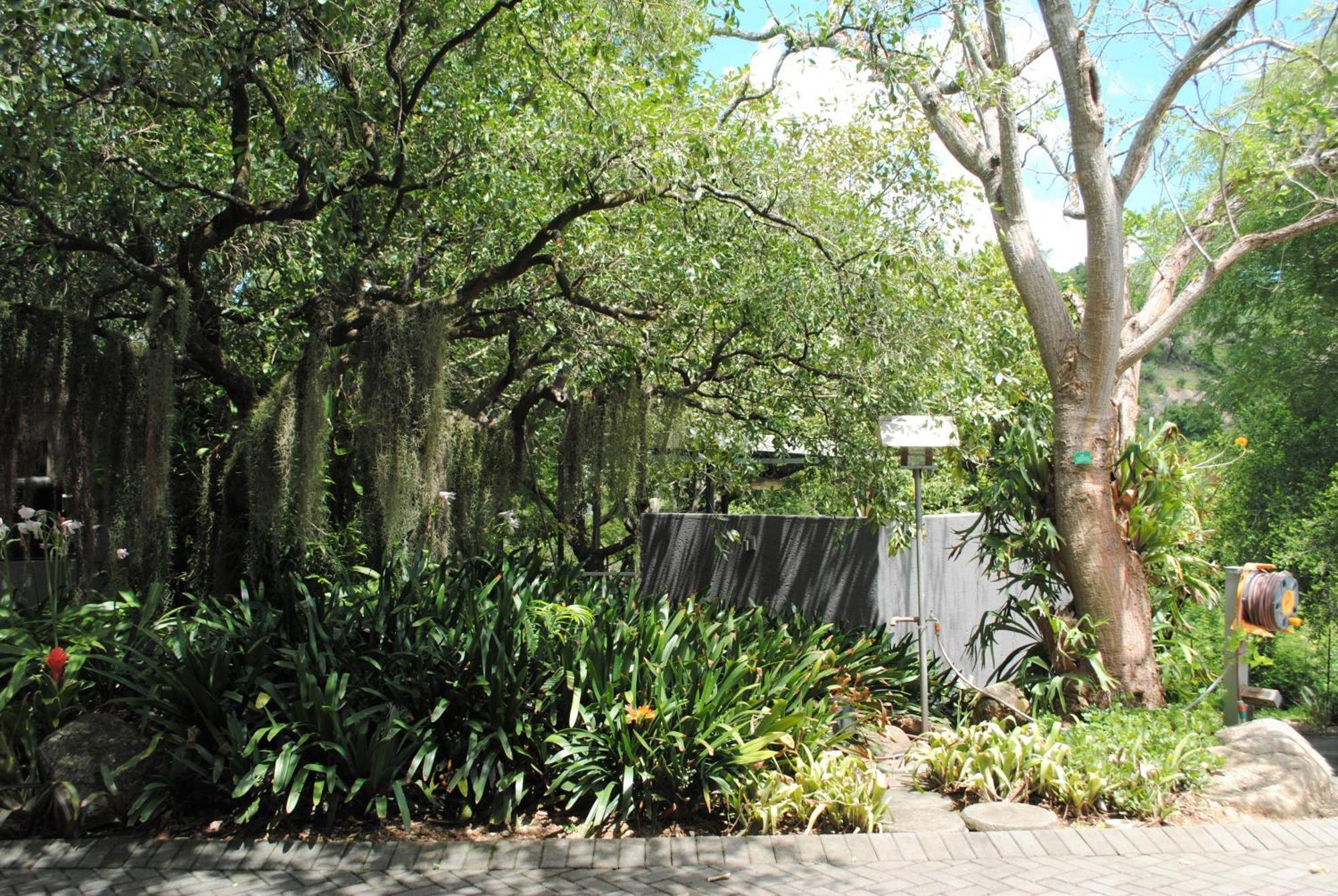 Birds Babble Self Catering Hotel Mbombela Buitenkant foto